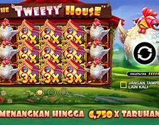 The Tweety House Slot Hari Ini Indonesia Open